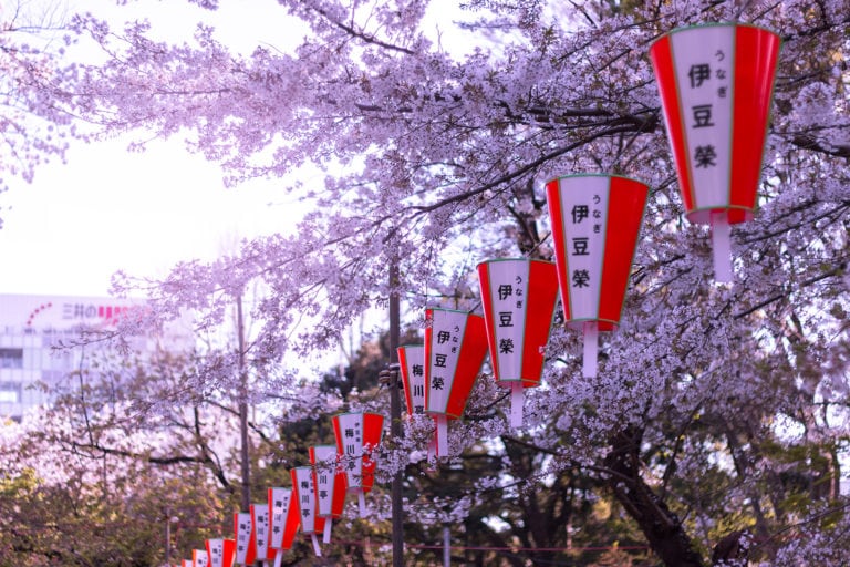 „Mokunensan“-Gewinnerin