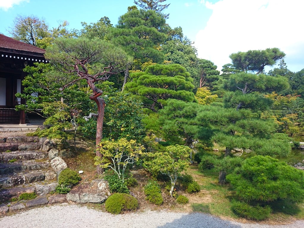 Bekanntschaften japan