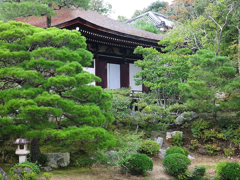 Bekanntschaften japan