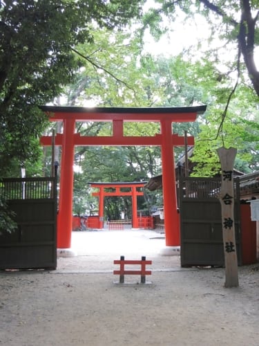 Japan Tag 6.6