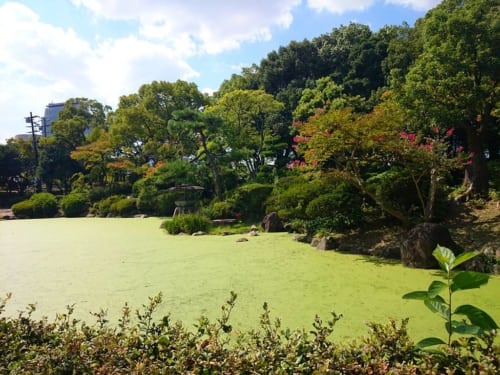 Japan Tag 10 4