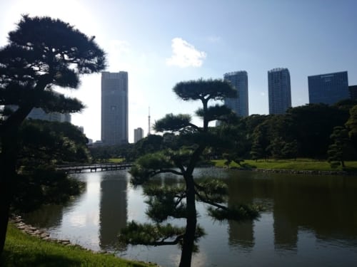 Japan Tag 14 3