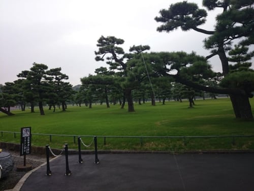 Japan Tag 20 4