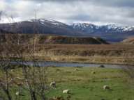Scotland Day 3.1