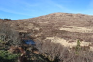 Scotland Day 3.12