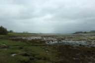 Scotland 6.5